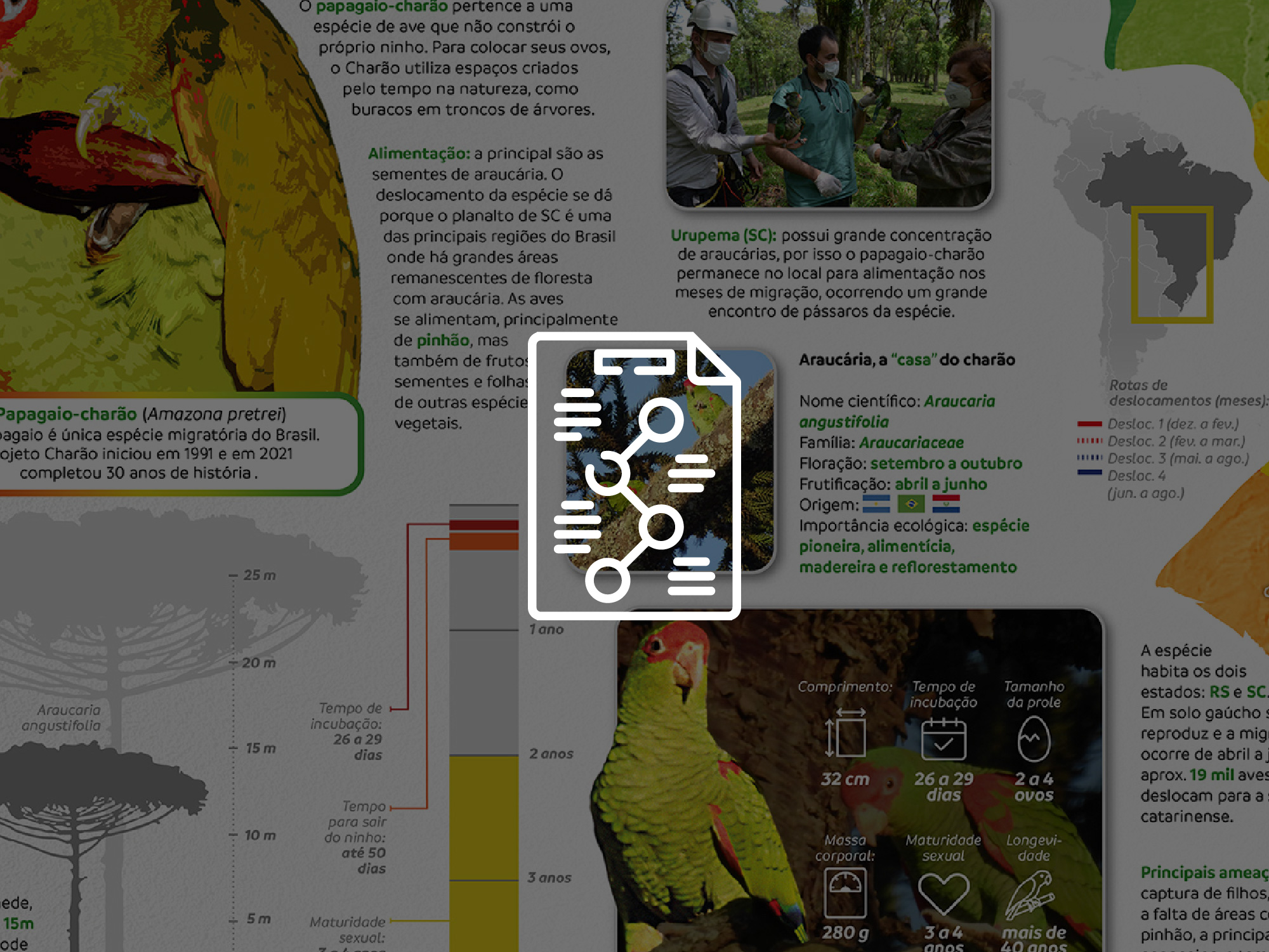 30 anos do Projeto Charão